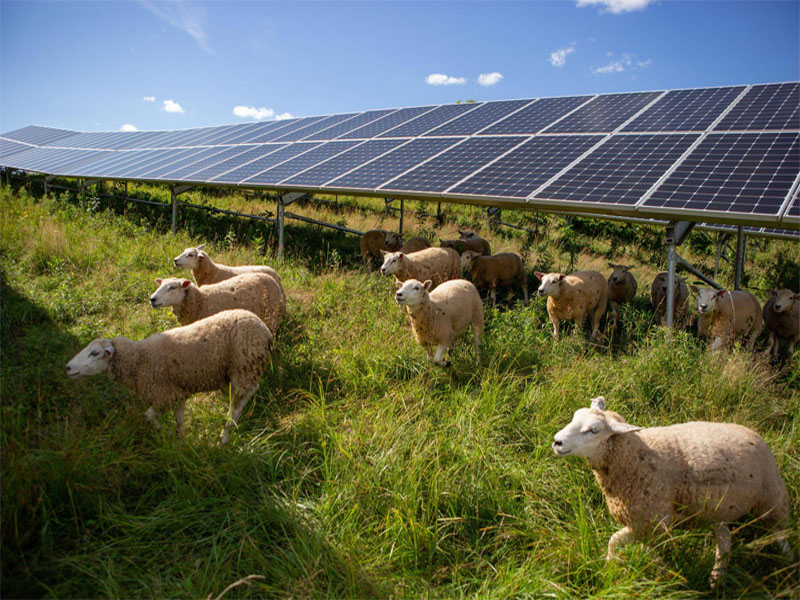 Solar Europe 2024: Innovative Agricultural Photovoltaic Technology